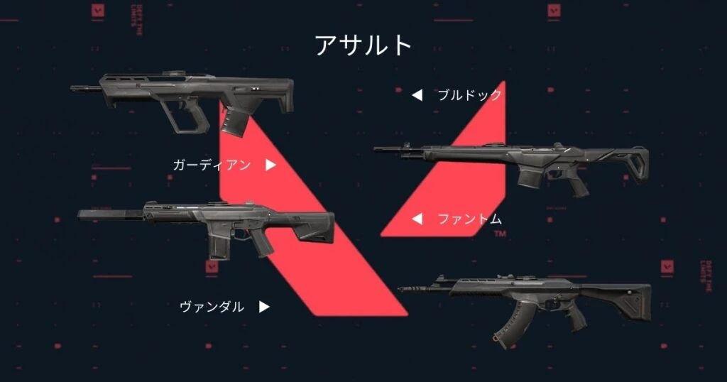 weapon-descriptison-rifle