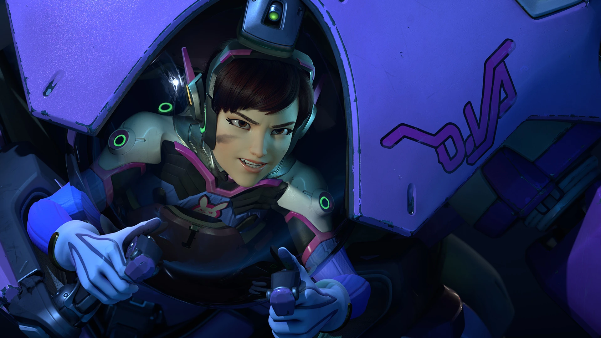 D.Va_画像1
